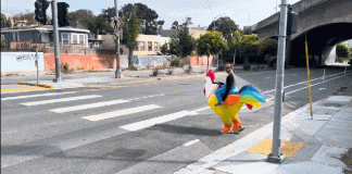 "SF Police Use Halloween Costumes to Catch Drivers Ignoring Pedestrians"