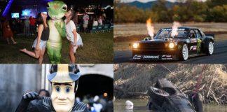 "Top Car Insurance Companies to Avoid, Hoonigan Bankruptcy, and Elon Musk Updates: Weekly News Roundup | Giga Gears"